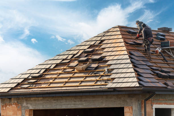 Best Skylight Installation and Repair  in East Mountain, TX